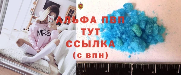 гашик Новозыбков