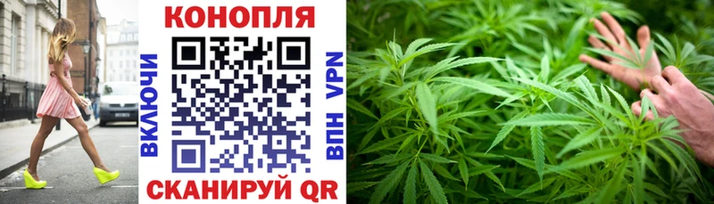 Бошки Шишки VHQ  Николаевск 